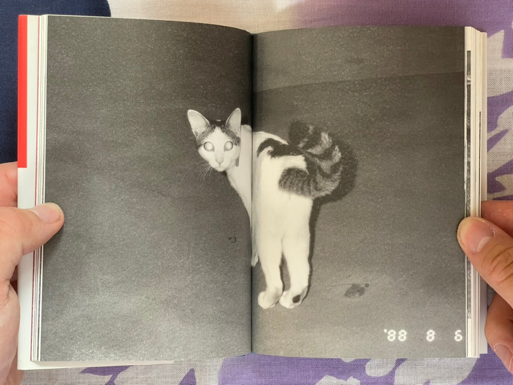 Chiro, My Love - (Bunko Edition) Hardcover by Nobuyoshi Araki (2007)