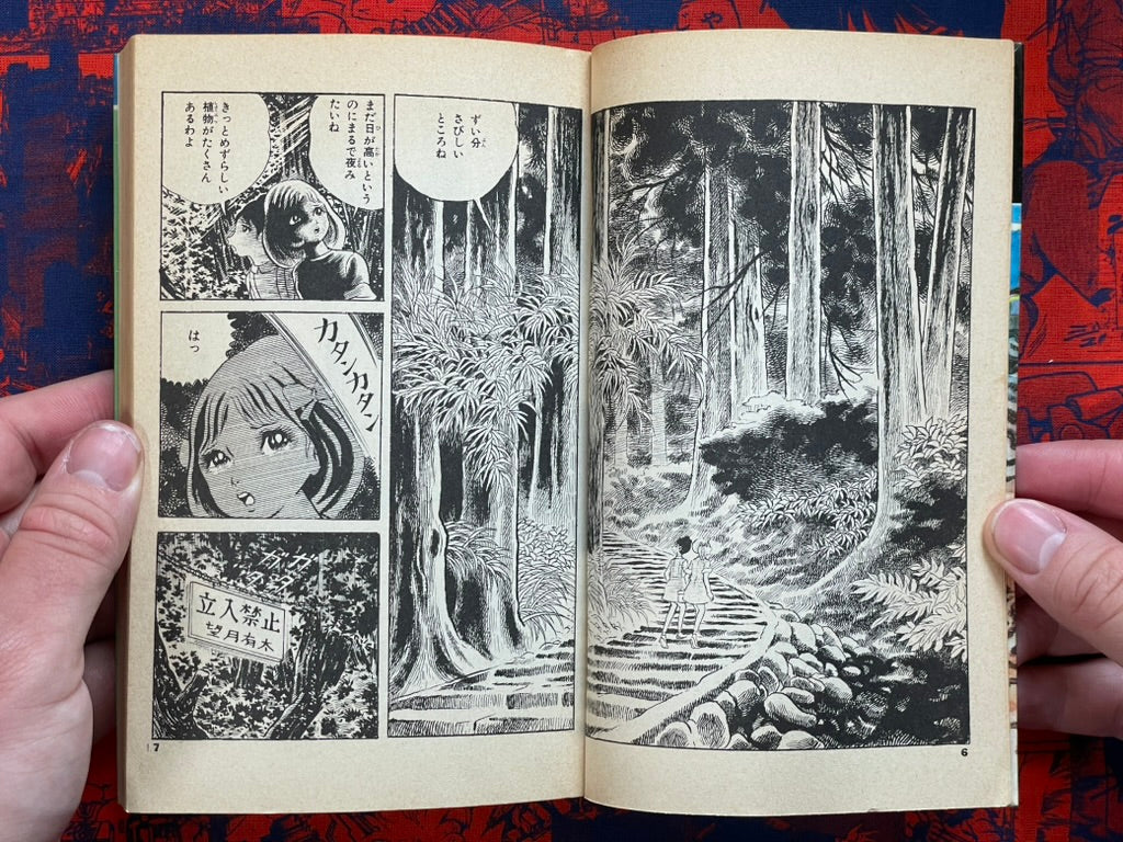 Lightning Girl by Koga Shinichi (1984)