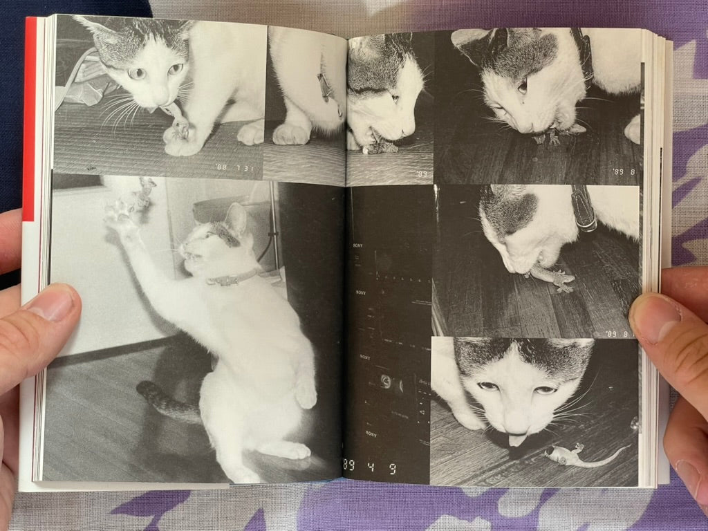 Chiro, My Love - (Bunko Edition) Hardcover by Nobuyoshi Araki (2007)
