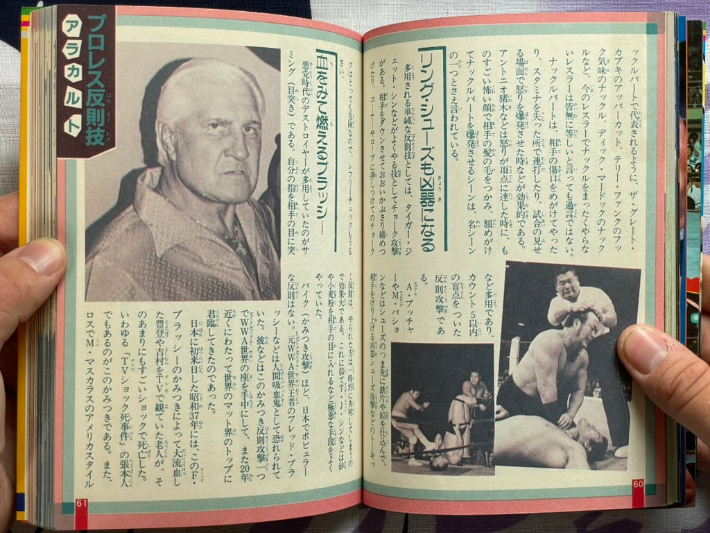 Pro Wrestling Finishing Move Technique by Big Wrestler (1984)