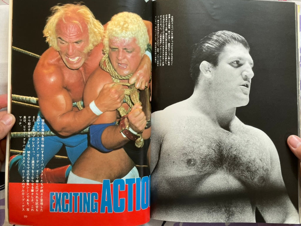 Fierce Battle MSG: Wrestling in USA Part 2 (1981)
