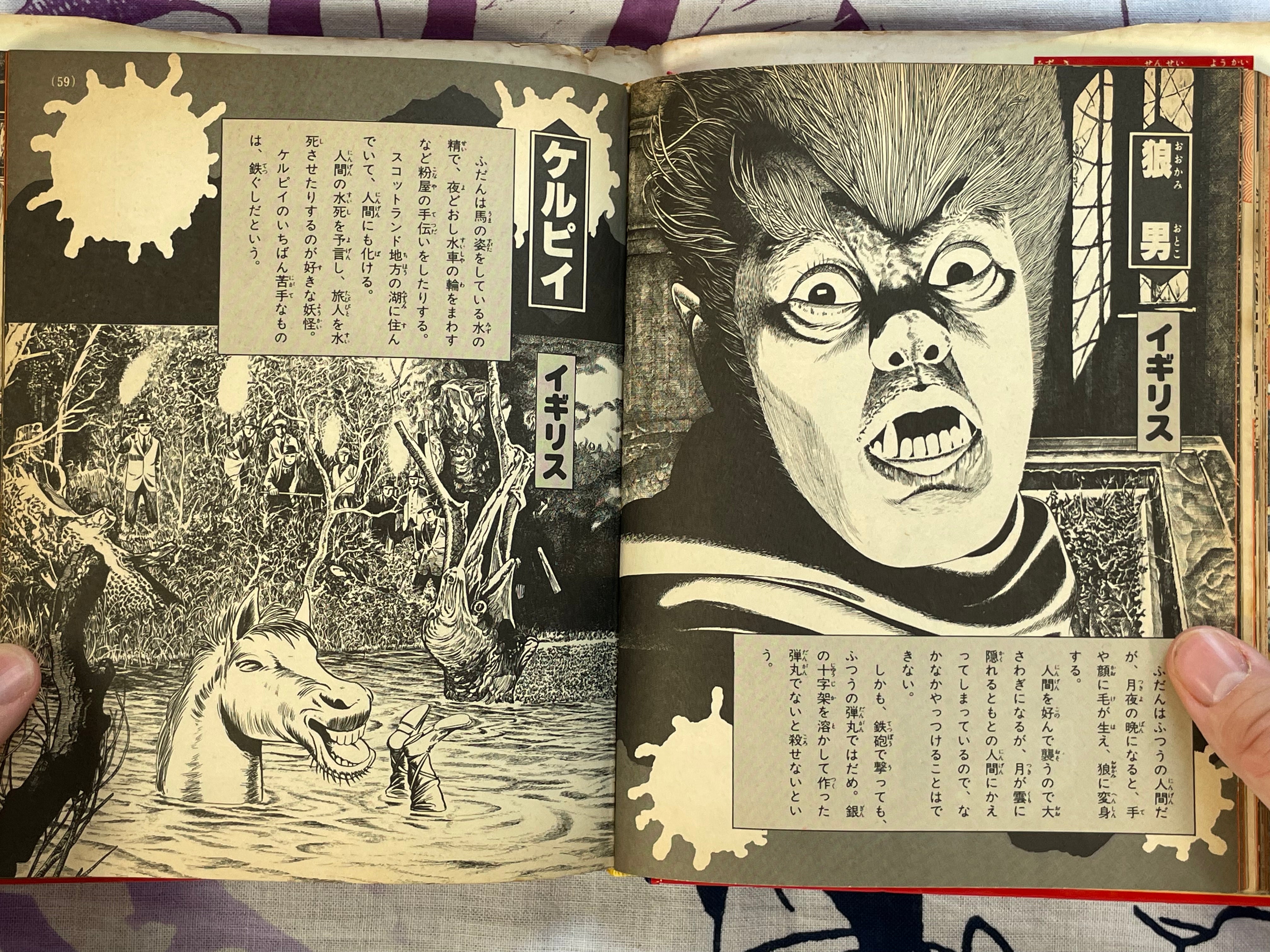 Introduction to Yokai of the World #76 by Shogakukan ft. Mizuki Shigeru (1979)