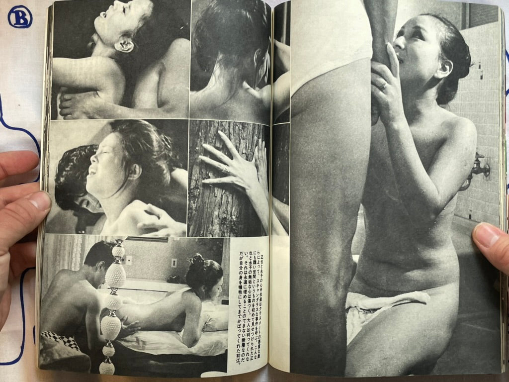 Glamour Photo (11/1971)