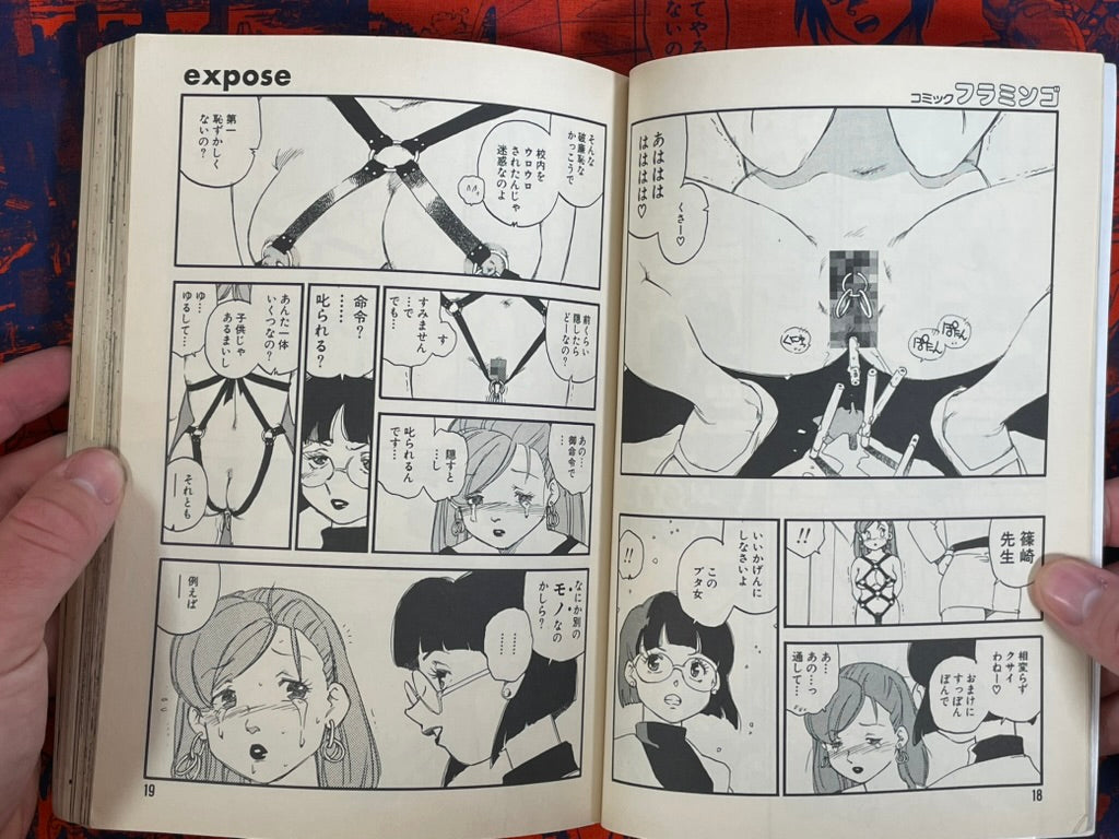 Flamingo Magazine (6/1995)