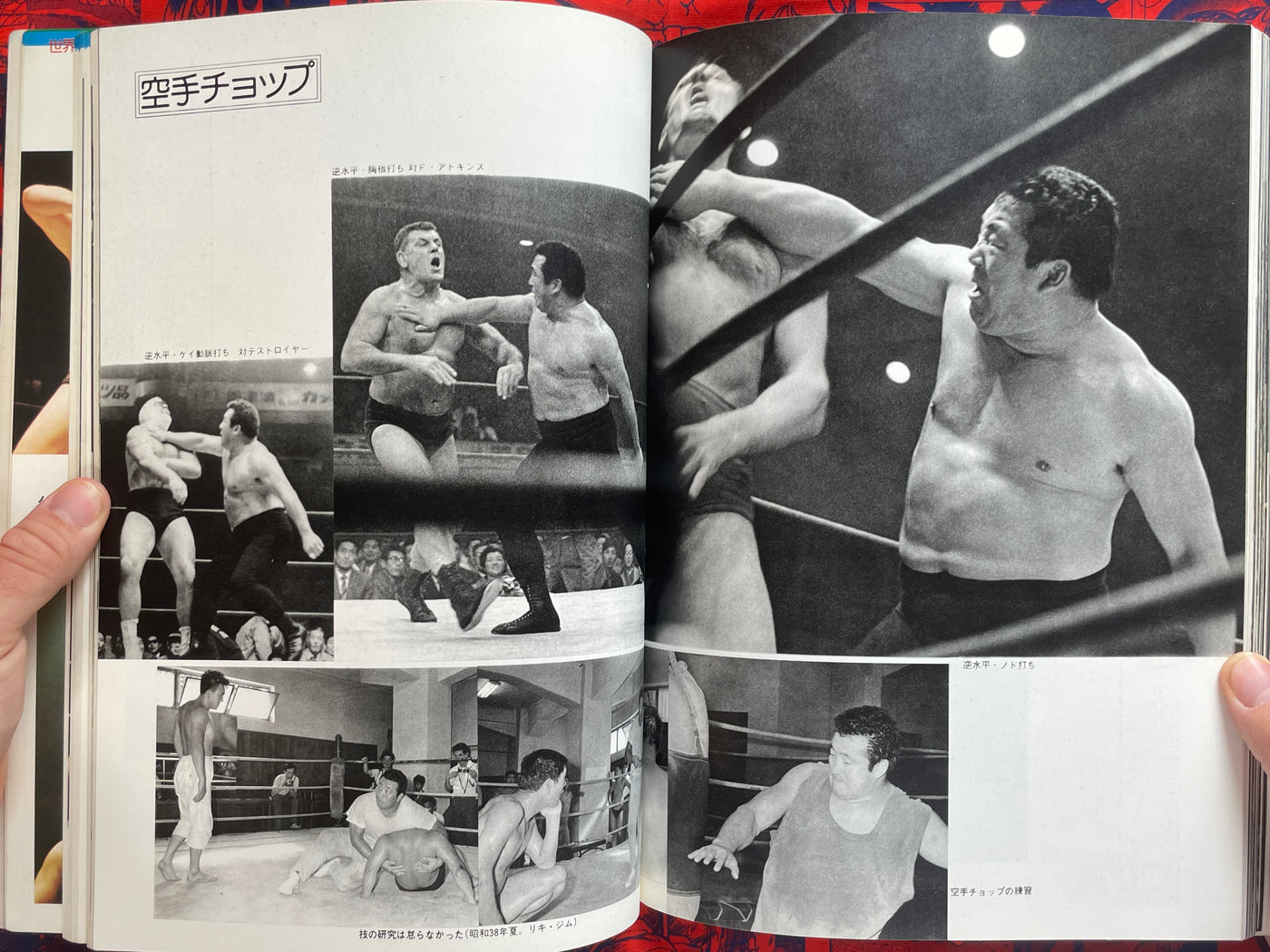 Pictorial History of Pro-Wrestling in Japan (1975)