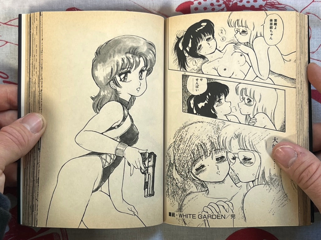 Minato-chan is 17! - bunko size by Amagi Kei (1991)
