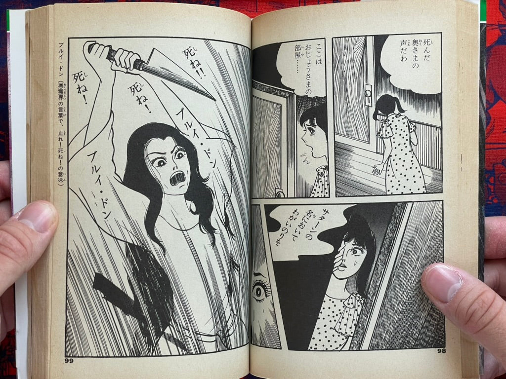 The Head of the Bloody Mansion by Saga Miyuki (1987)