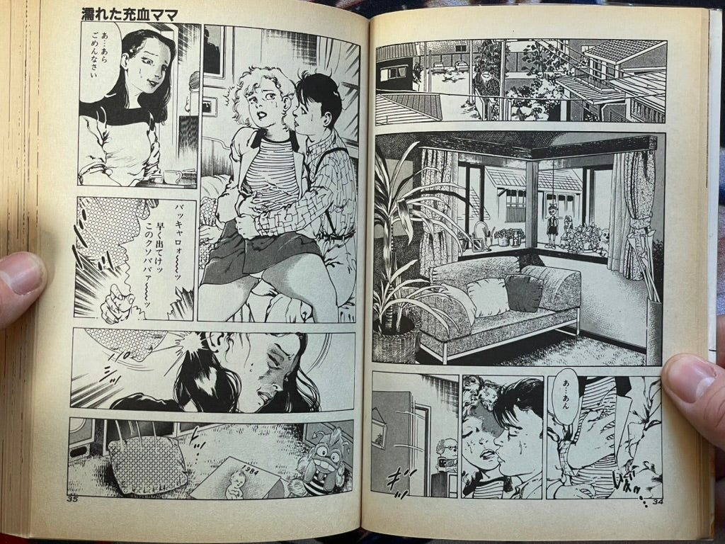 Affair Legend by Oshima Takeshi (1985)