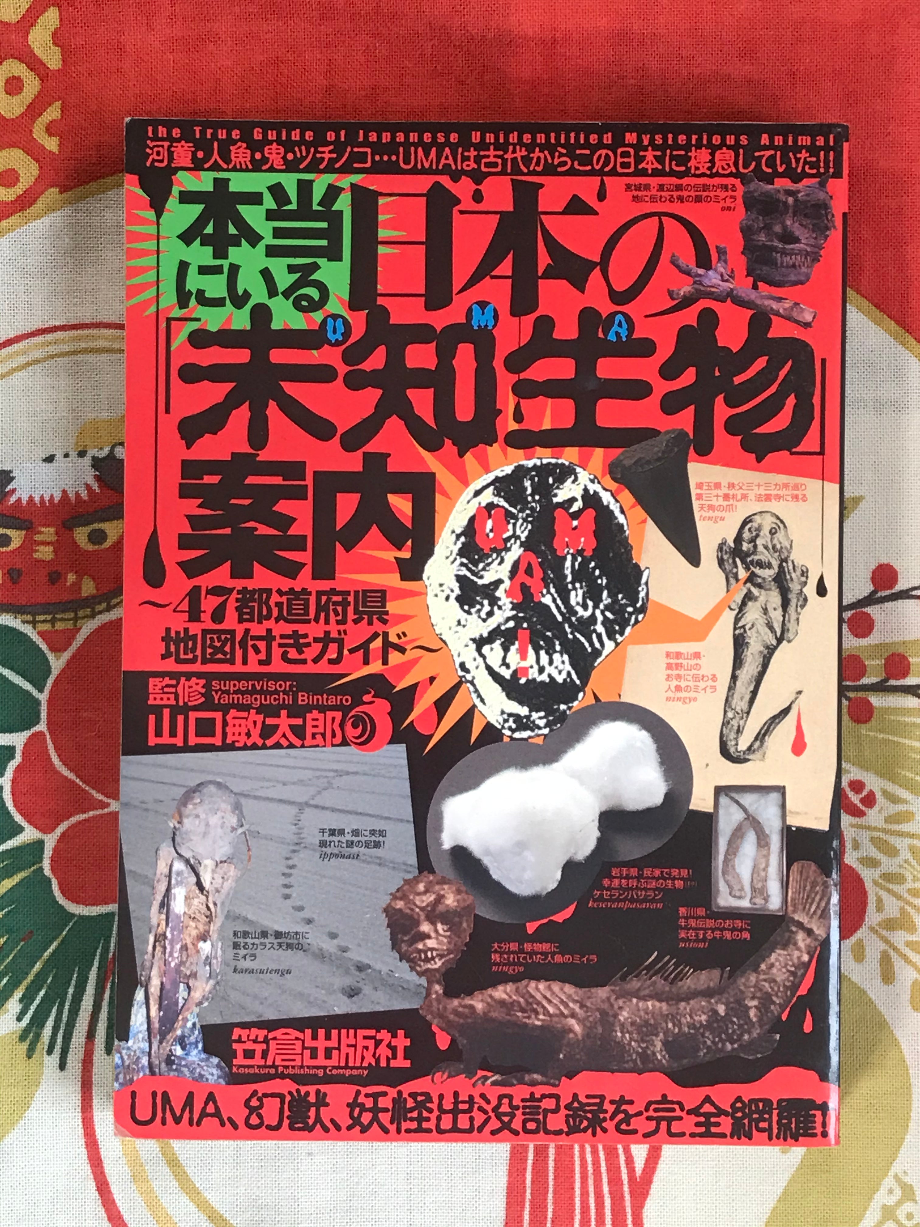 Guide to Unknown Creatures in Japan by Yamaguchi Bintaro