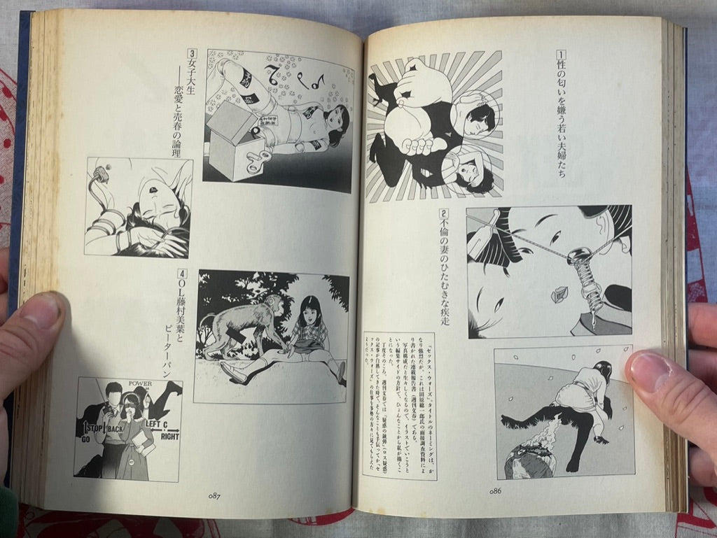 Double Star by Mitsuhiko Yoshida (2004)