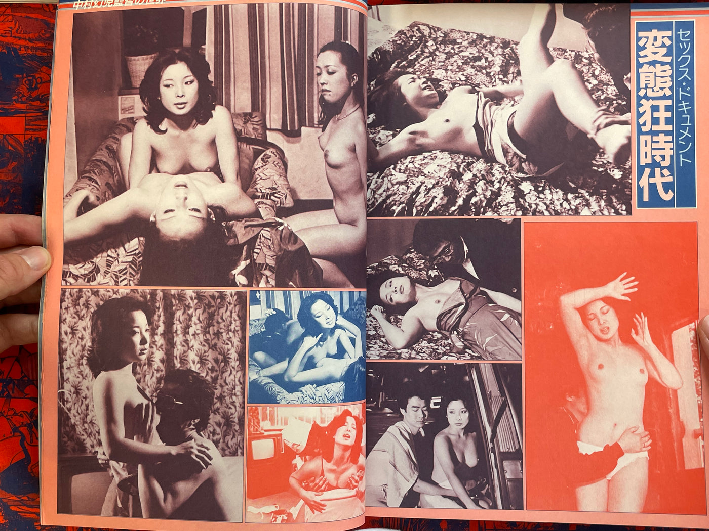 Porno Gallery (1981)