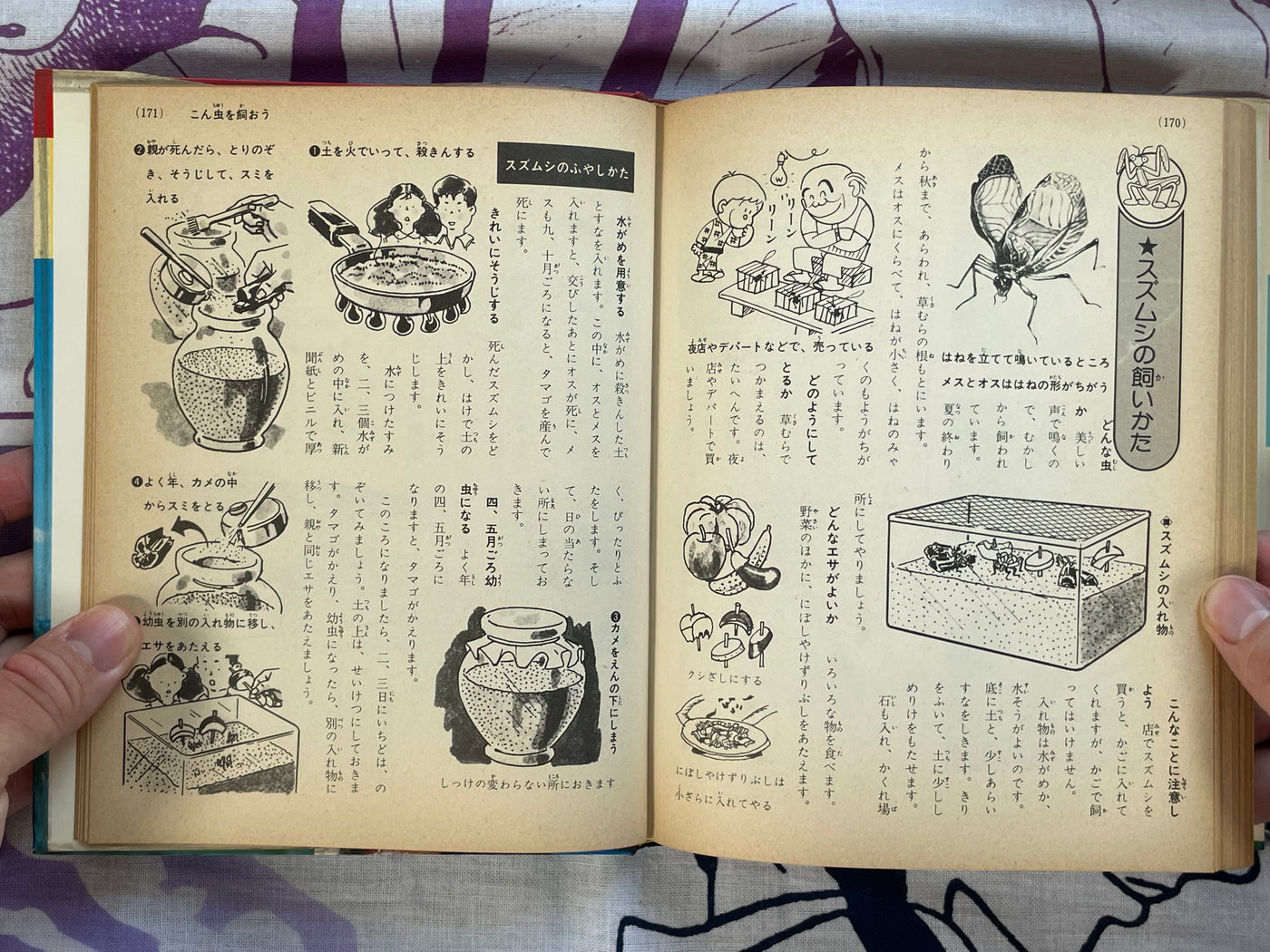 How to Own Pets #4 by Shogakukan (1979)