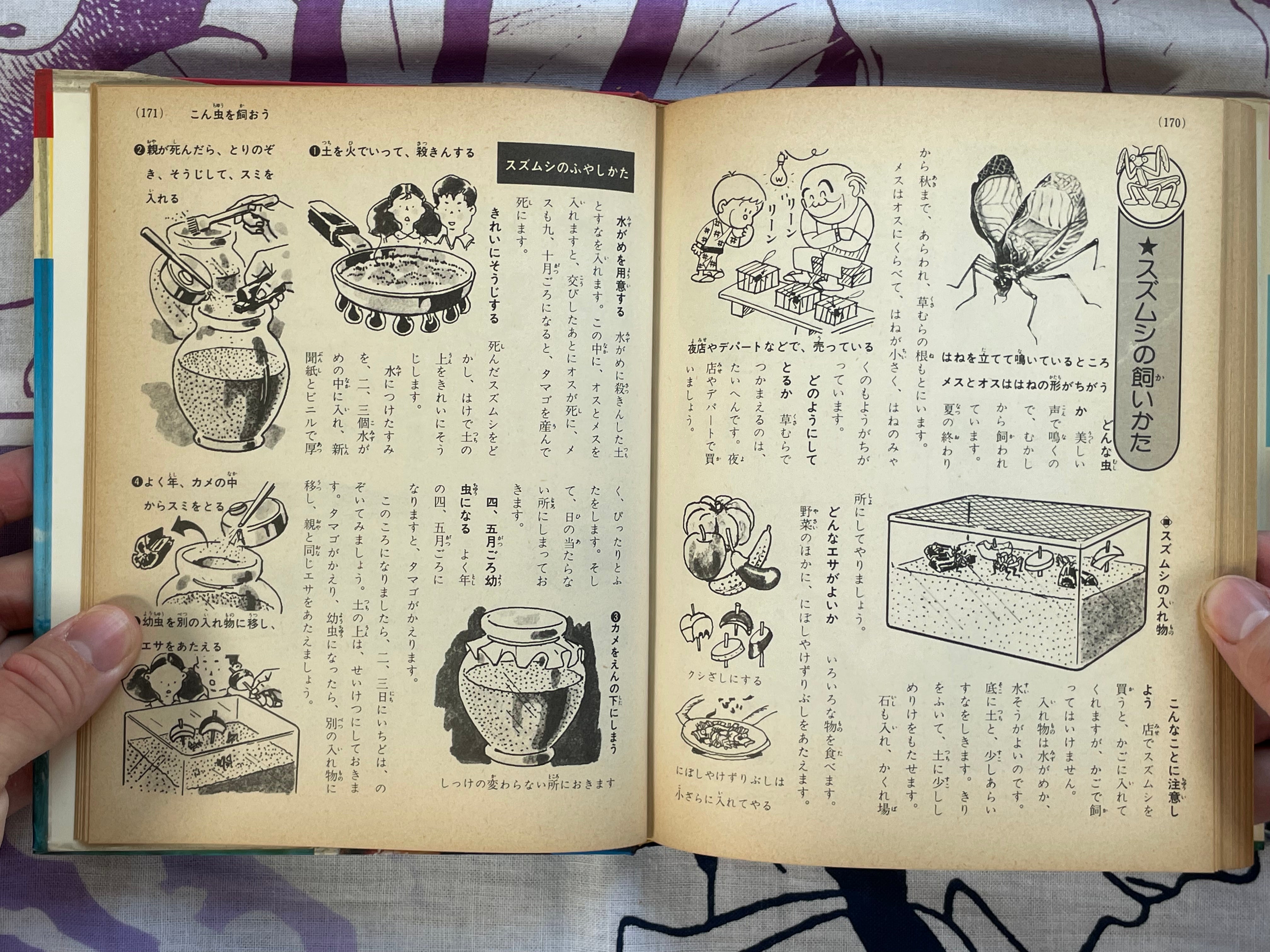 How to Own Pets #4 by Shogakukan (1979)