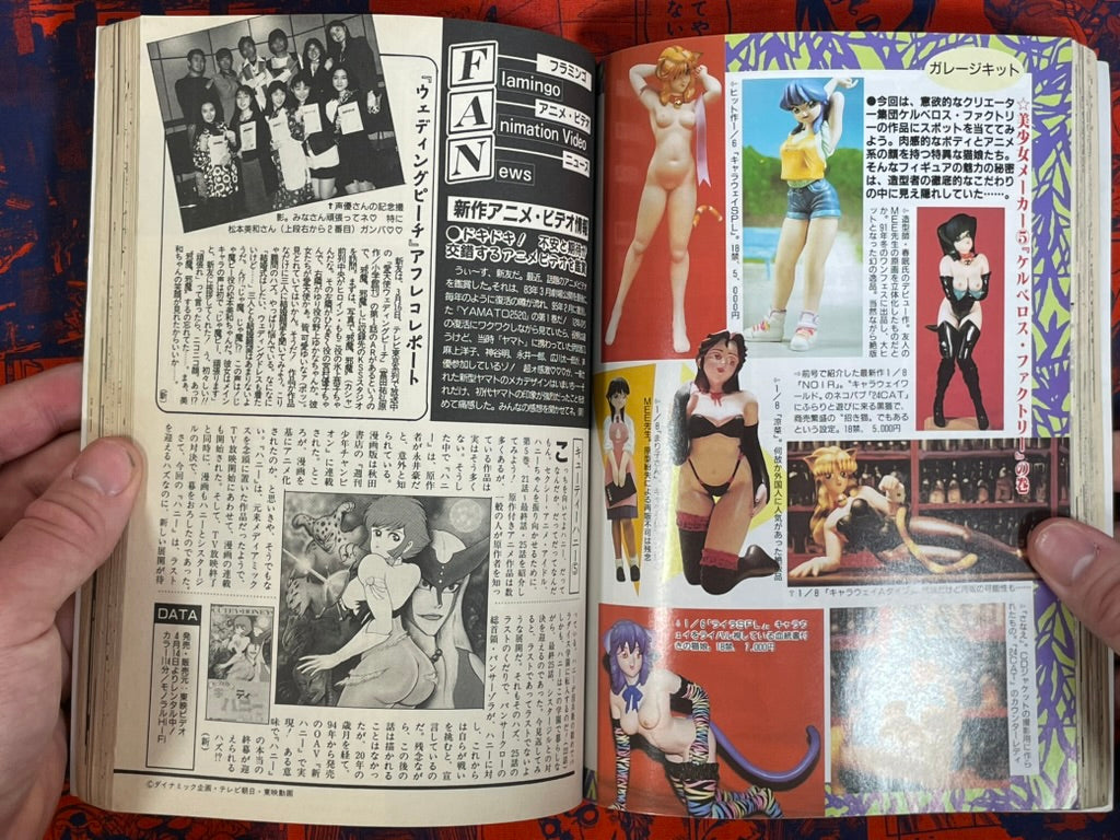 Flamingo Magazine (6/1995)