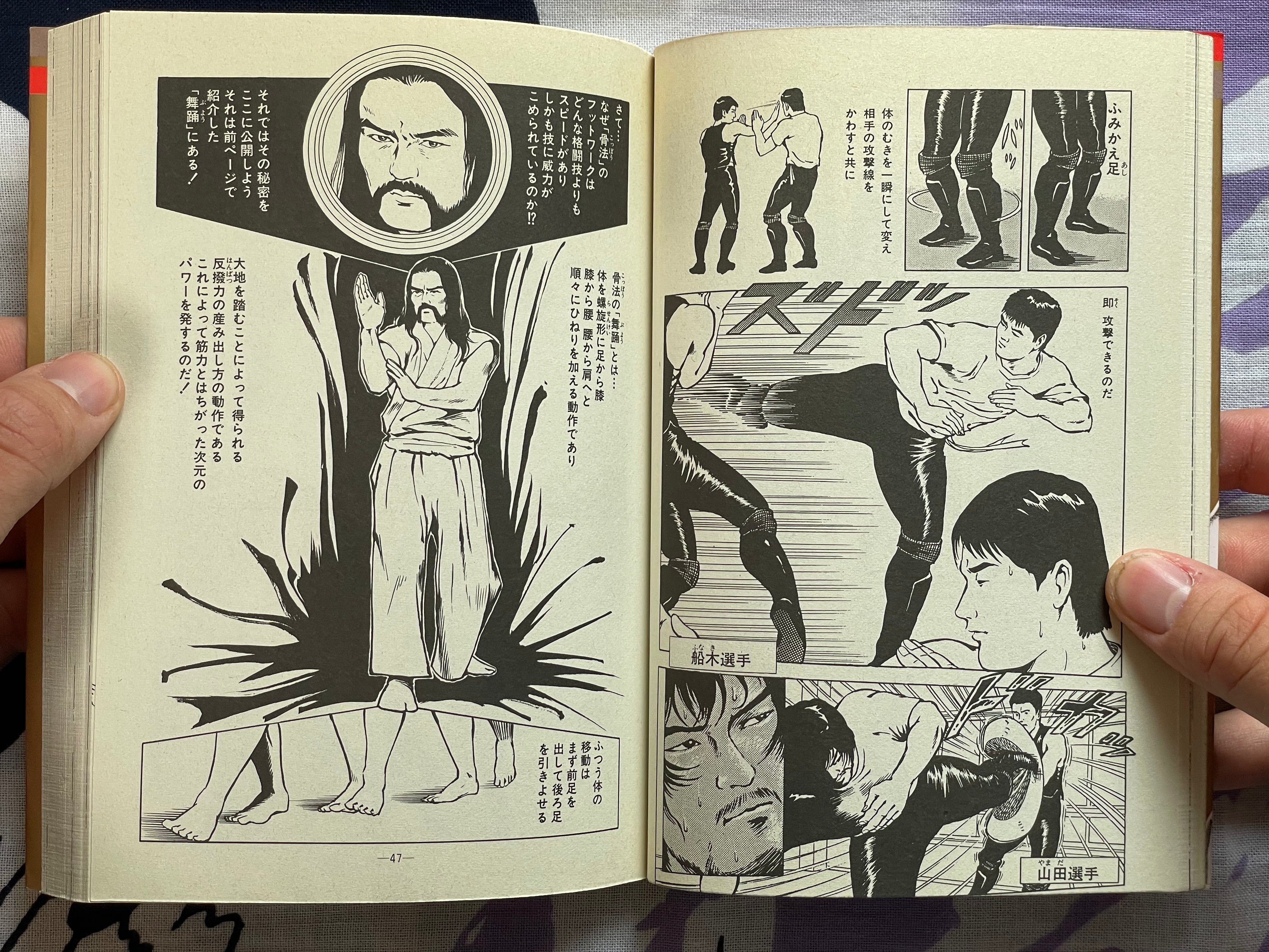 Killer Fist Technique for Koppou Marital Arts Illustrated by Kaze Shinobu (1988)