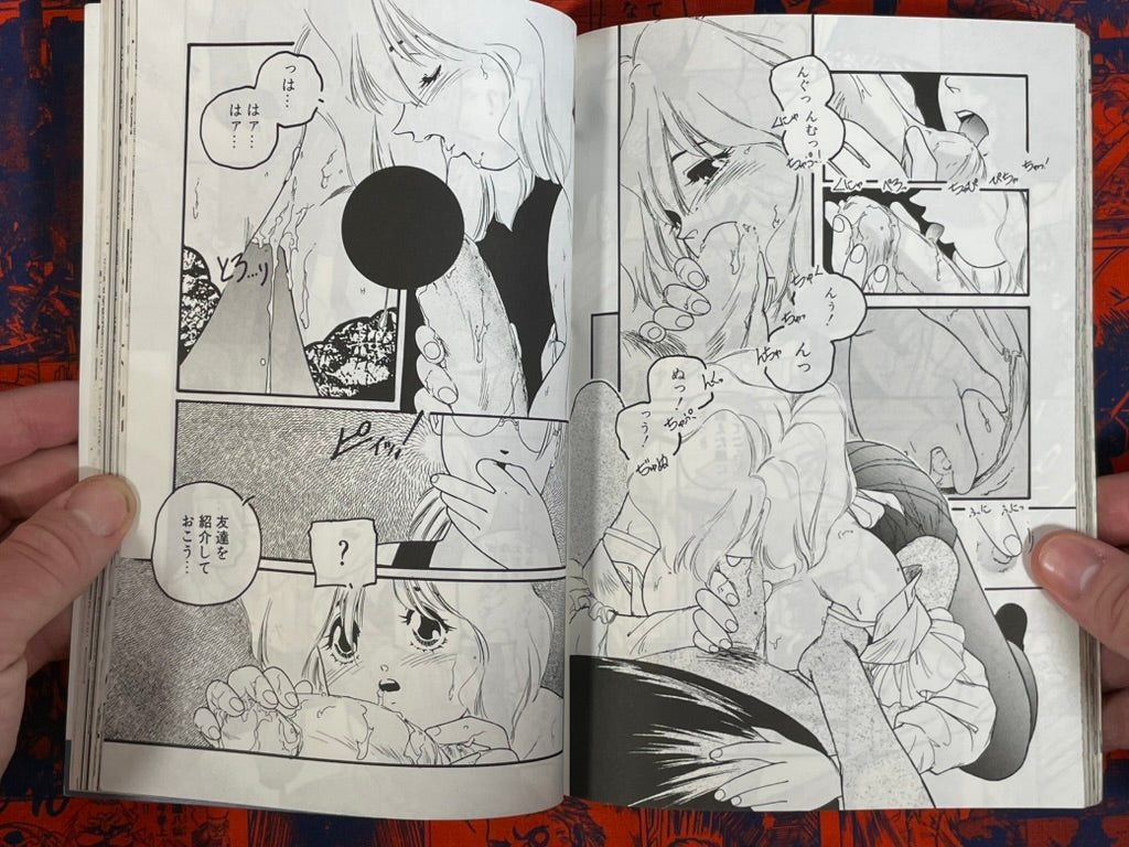 Manga Daisuki Magazine (6/1995)