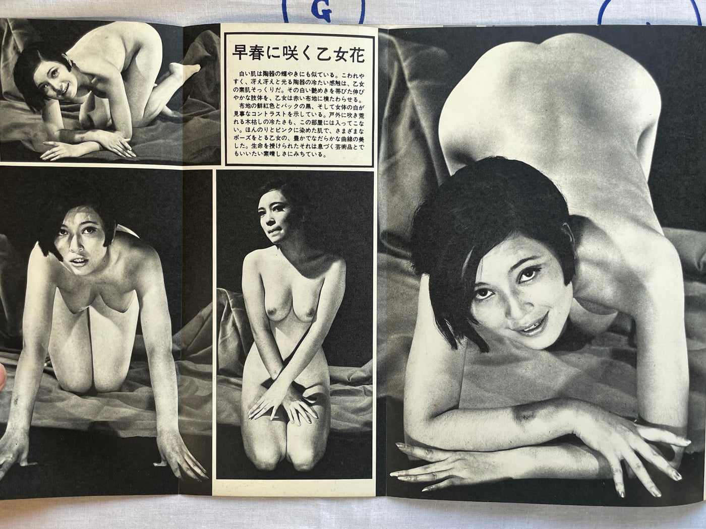 Glamour Photo (1968/1)