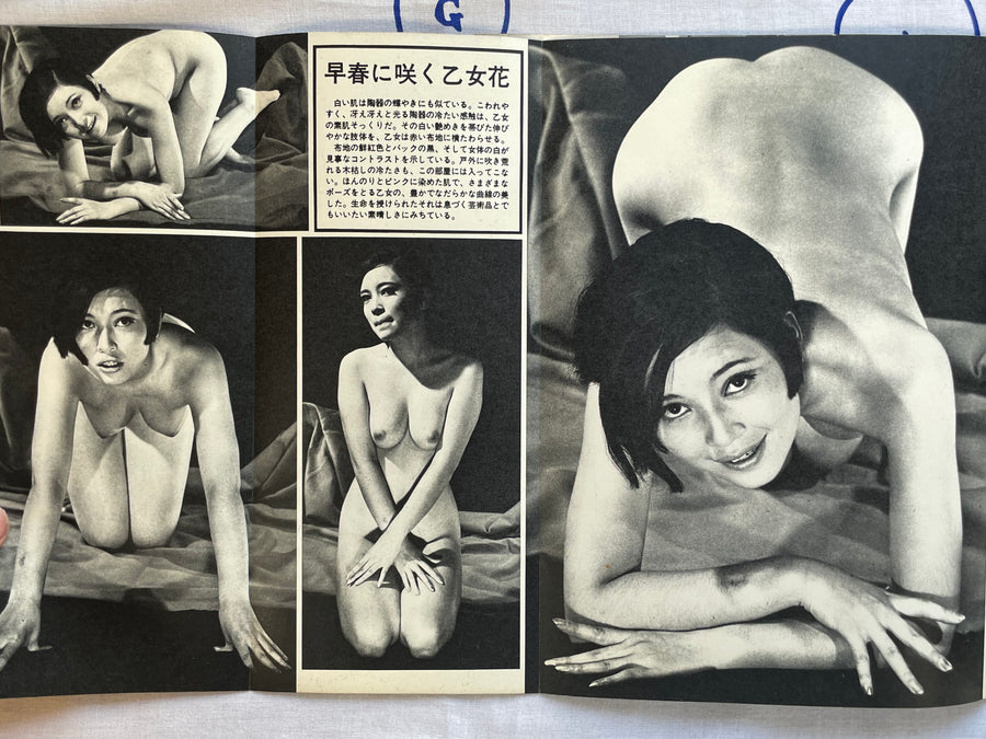Glamour Photo (1968/1)