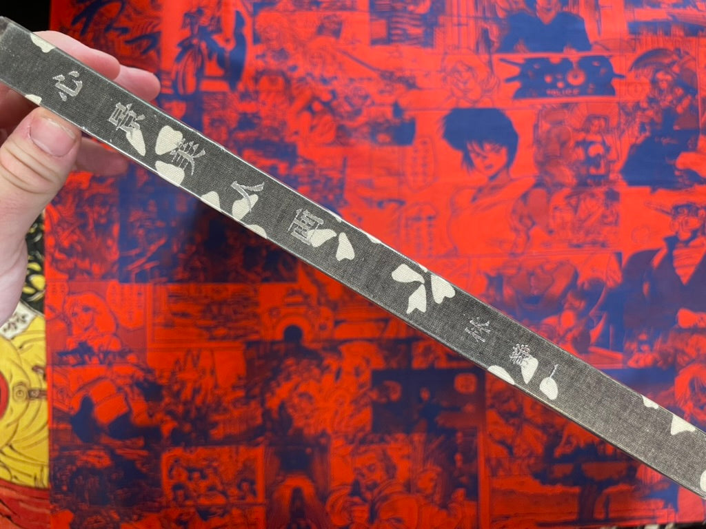 Minscape Beauty Illustrations - Oversized, Slipcover, Hardcover by Hayashi Seiichi (1976)