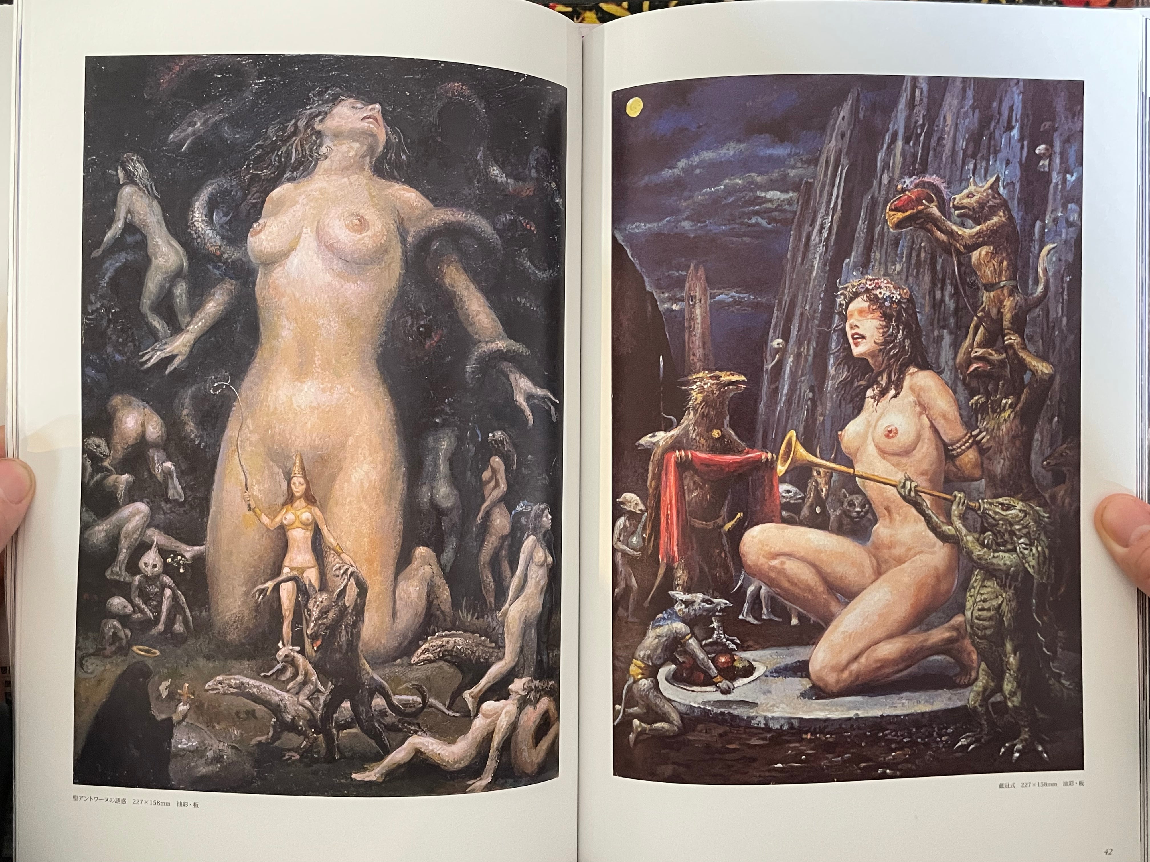 Ran Akiyoshi Illusory Works: Faraway Primordial Illusions - Hardcover (2025)