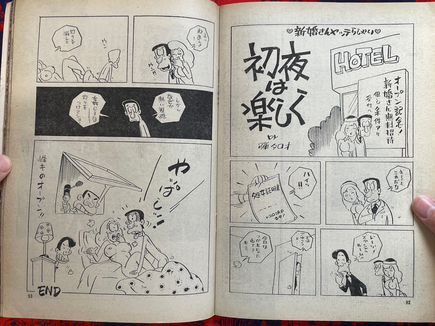 Goraku Paradise Magazine (11/1980)