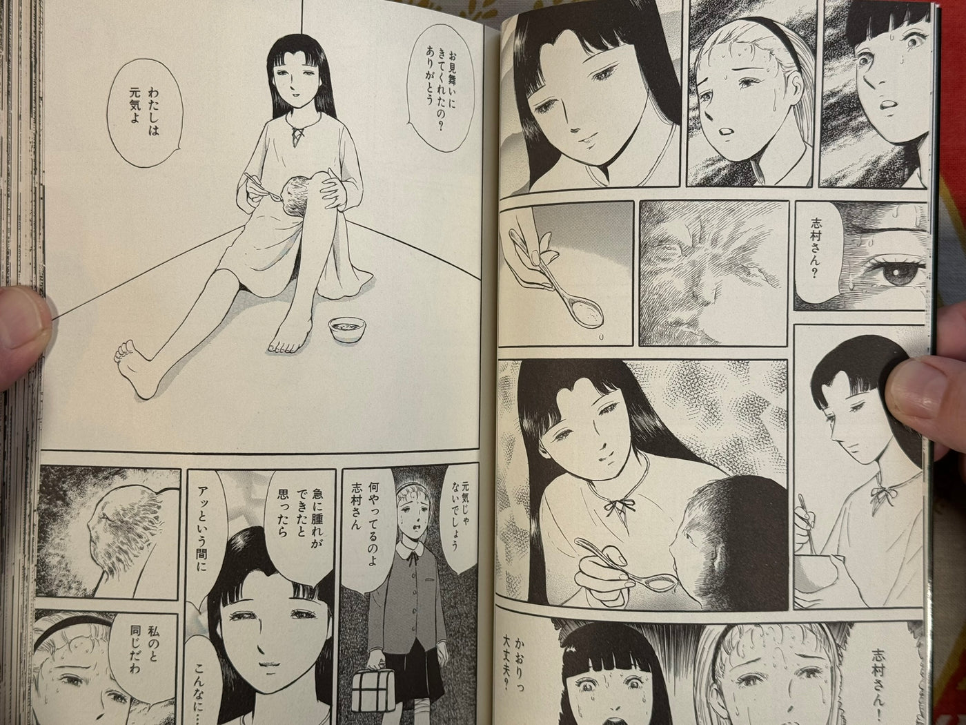 Jun no Harawata by Jun Hayami (2009)