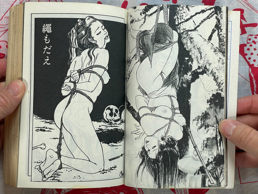 SM Fan Magazine (6/1975)