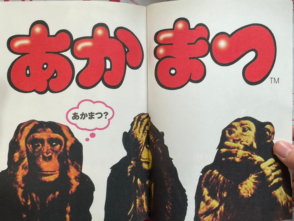 Akamatsu Conceptual Libido Magazine by Mandarake (2001)