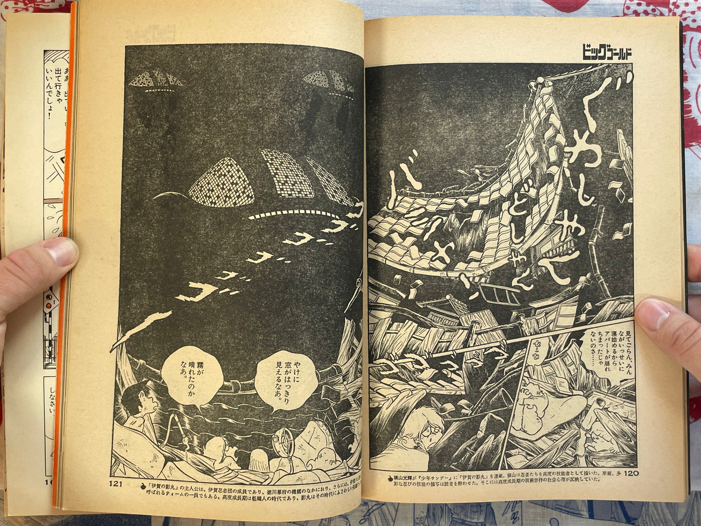 Big Gold No. 2 (Spring 1979)