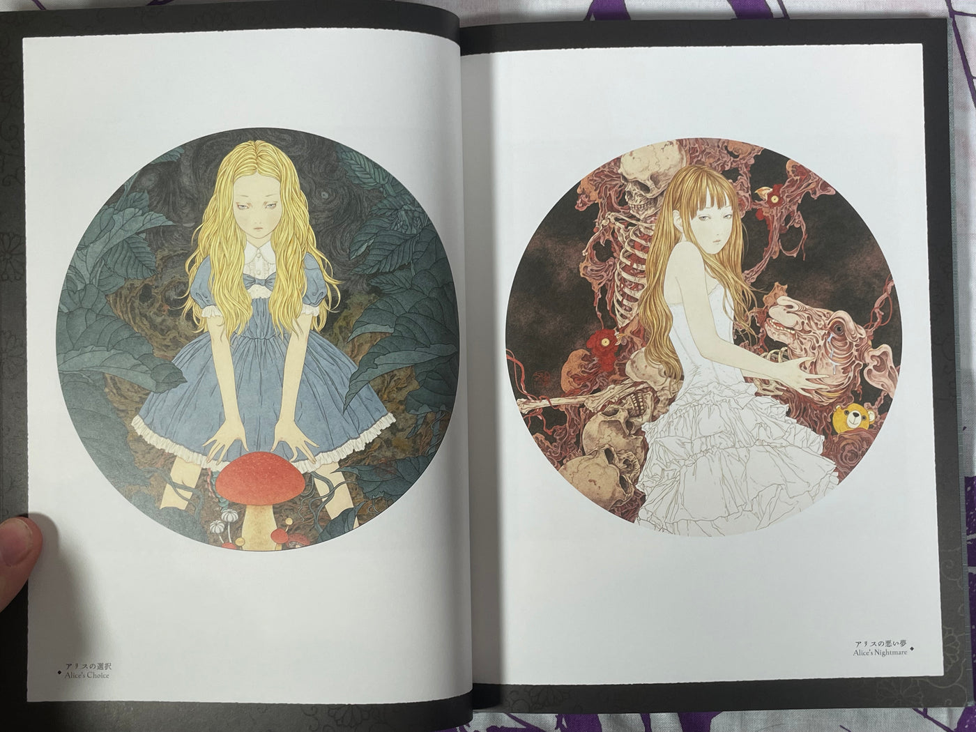 SIGNED Coffin of a Chimera Hardcover + Slipcover by Yamamoto Takato