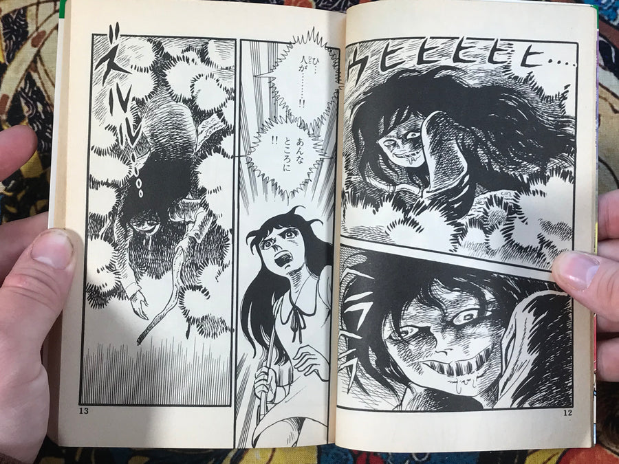 Scary Human-Faced Snake by Koji Sugito (1984)