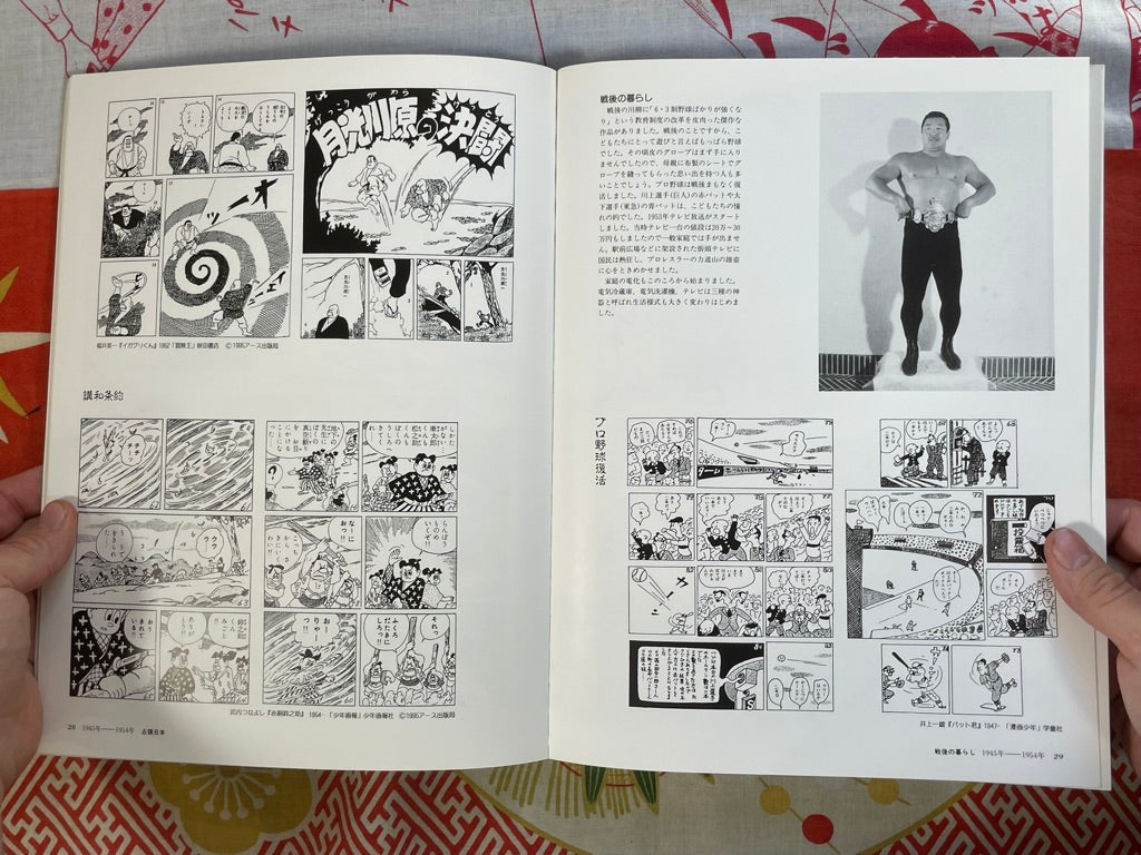 Manga Half Century Exhibition by Tokyo Shimbun (1995)