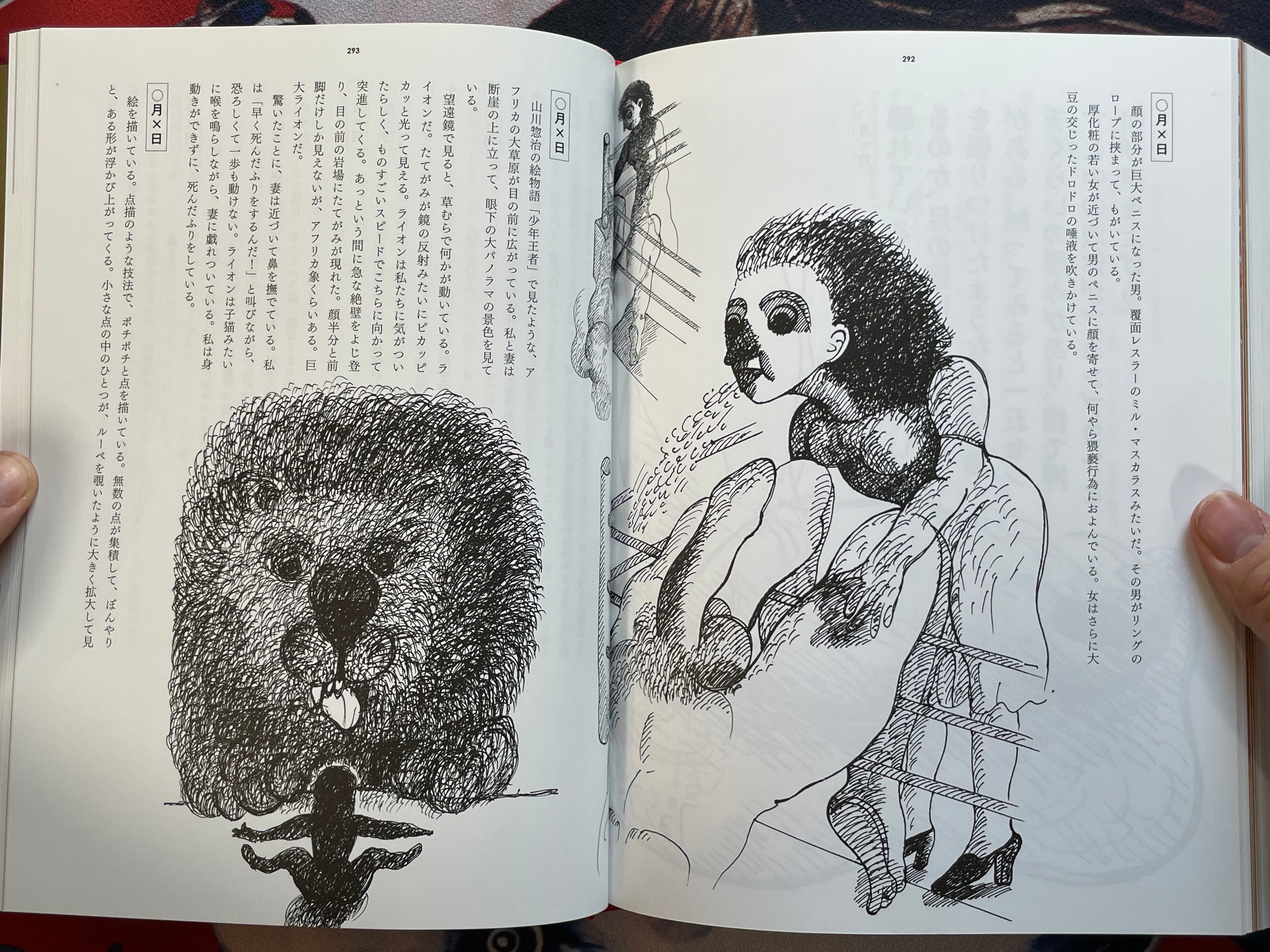 Dream on Dreamer - Hardcover by Keiichi Tanaami (2017)-thumbmail-21