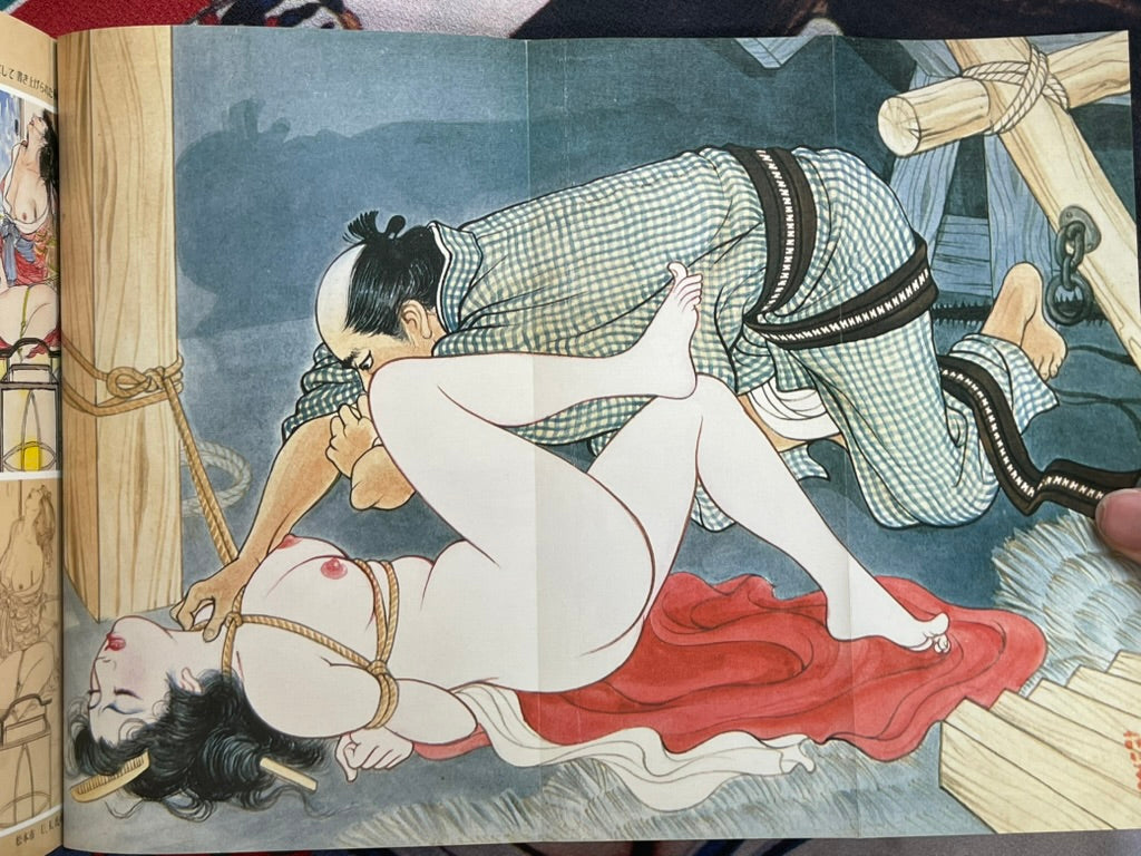 SM Higa Book World: SM Secret Novel Extra Edition (1984)