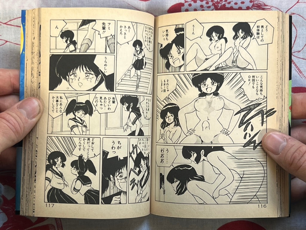 Big Panic for That Girl! - bunko size by Kenzaki Mikuri (1991)