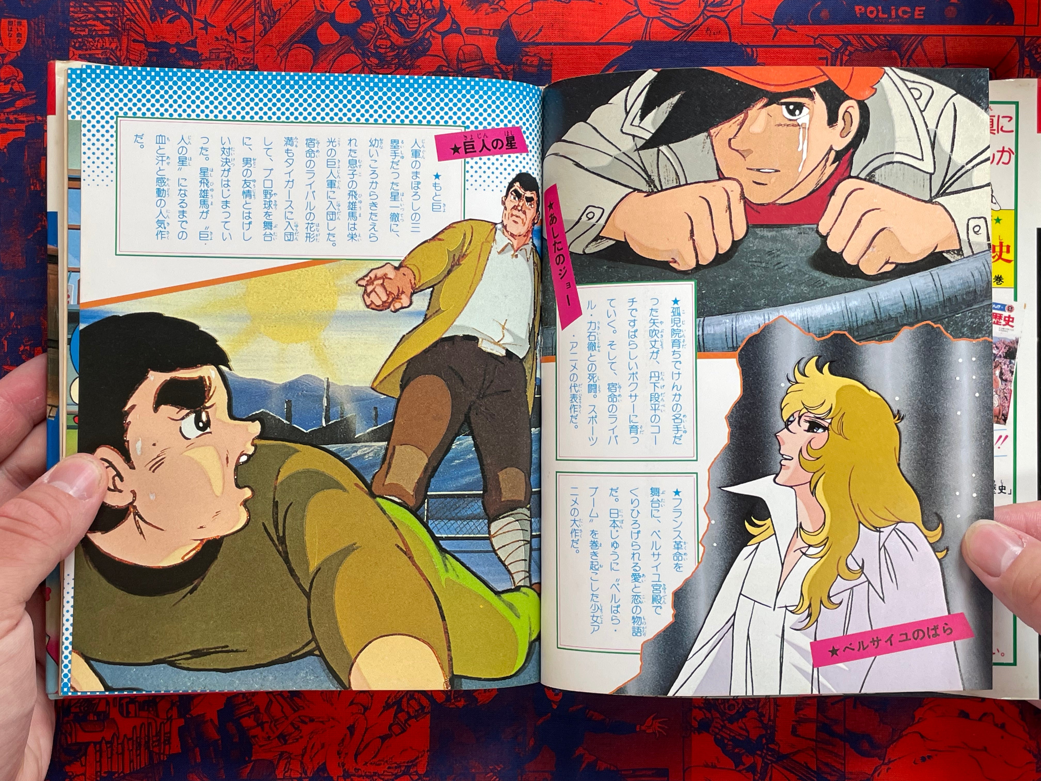 Intro to Everything Anime - Hardcover by Shogakukan (1981)