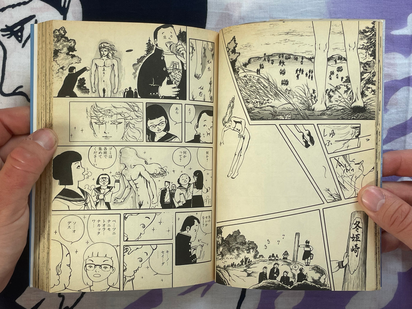 Girl Turned to the Darkness 1-2 Set by Shunichi Muraso (1986)
