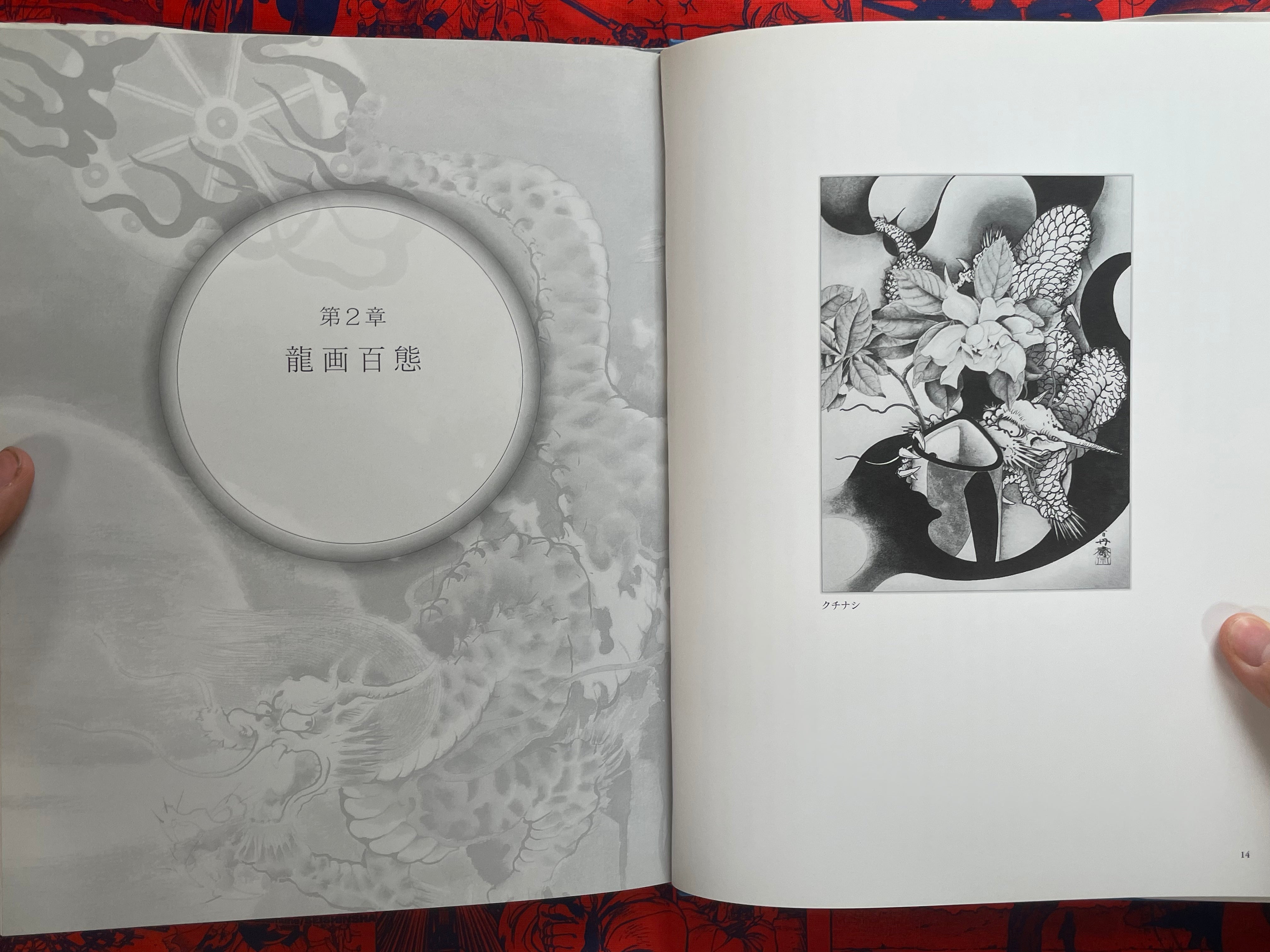 Tansai: Art of 100 Dragons - hardcover by Terano Tansai (2011)
