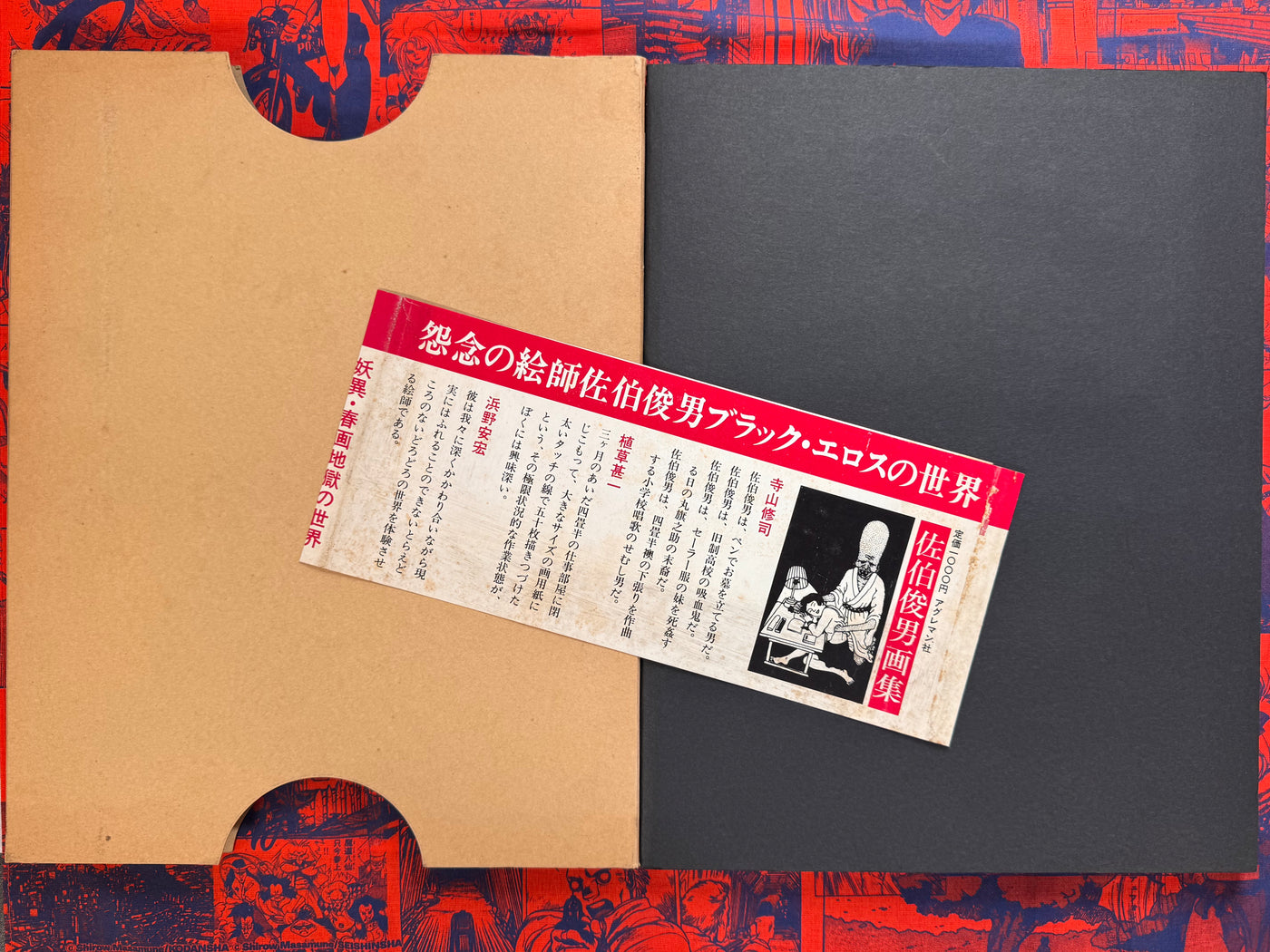 Toshio Saeki Illustration Collection (1970)