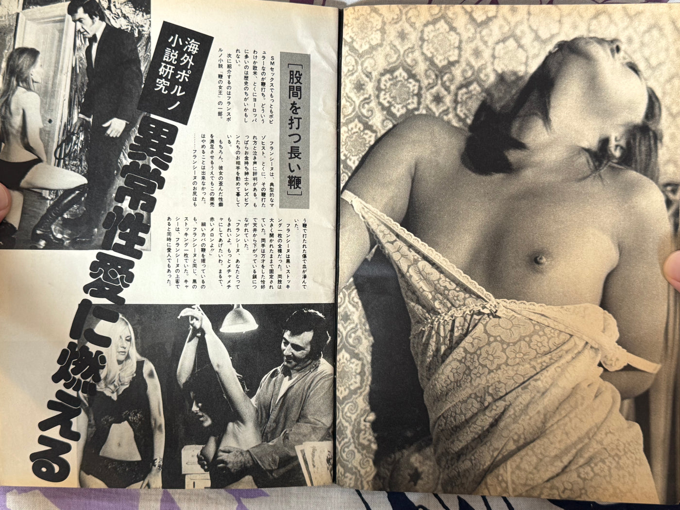Pink Plaza Magazine (4/1976)