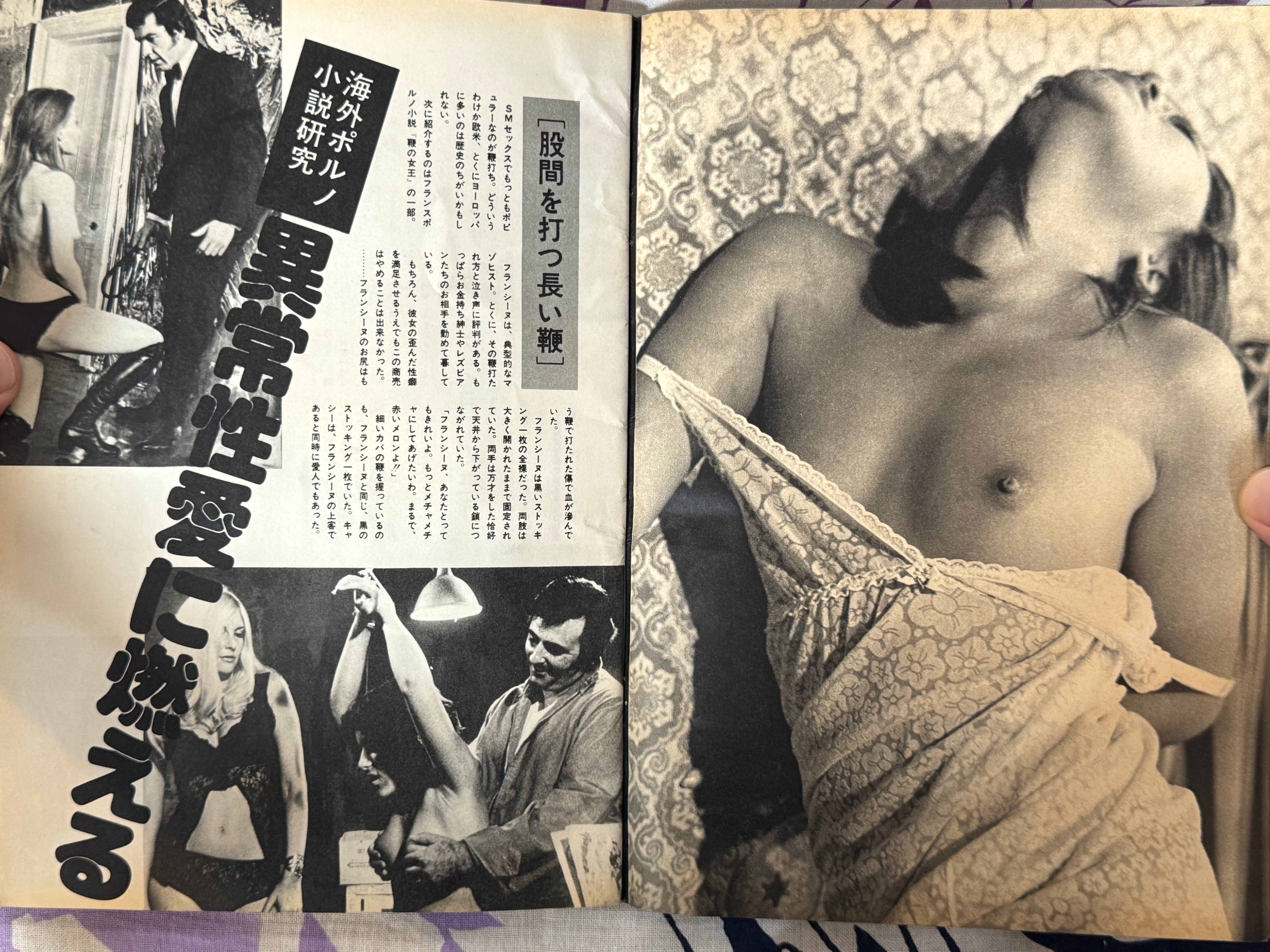 Pink Plaza Magazine (4/1976)