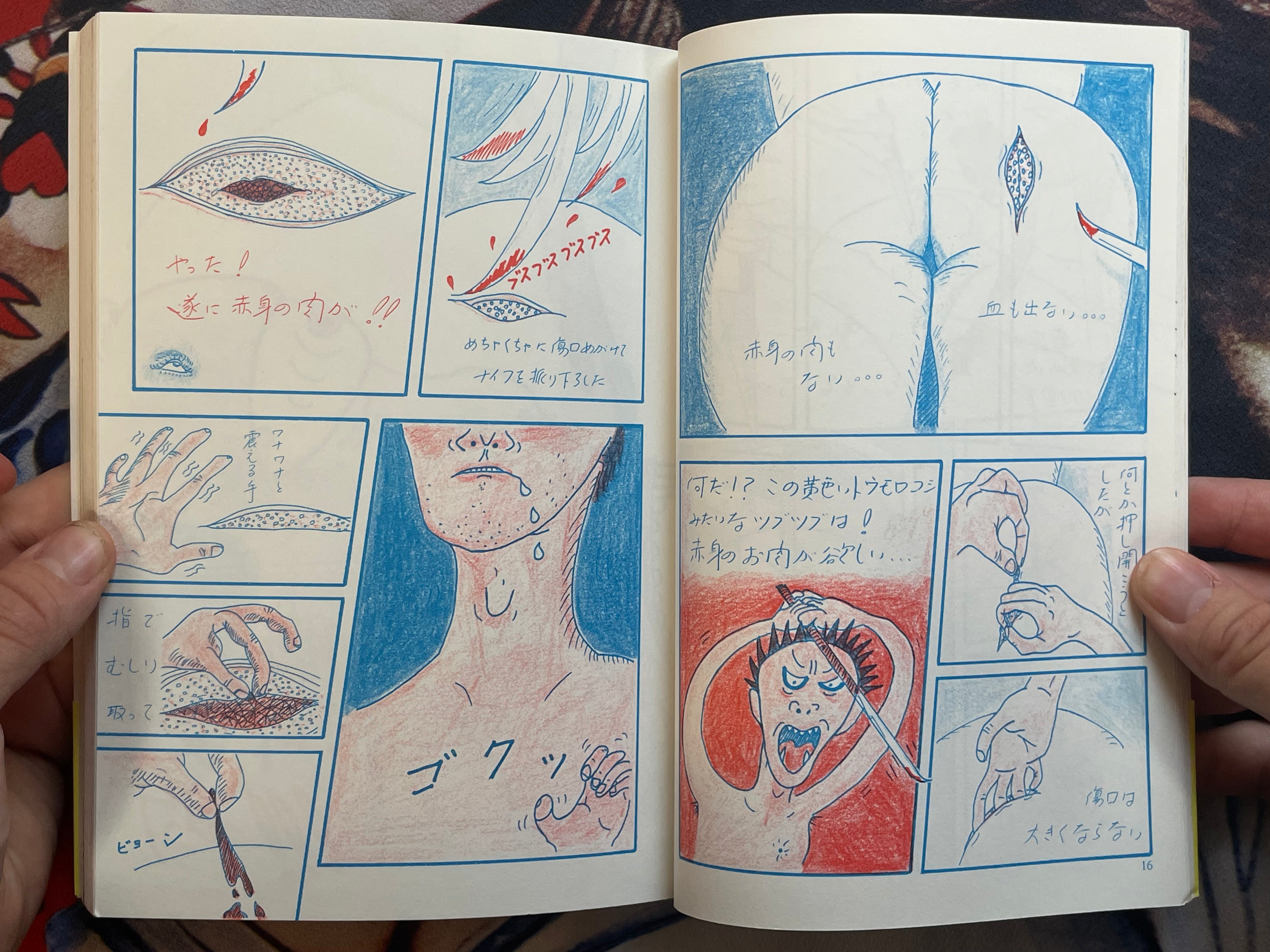 Manga Sagaawa-san by Issei Sagawa (2000/Limited 1000)
