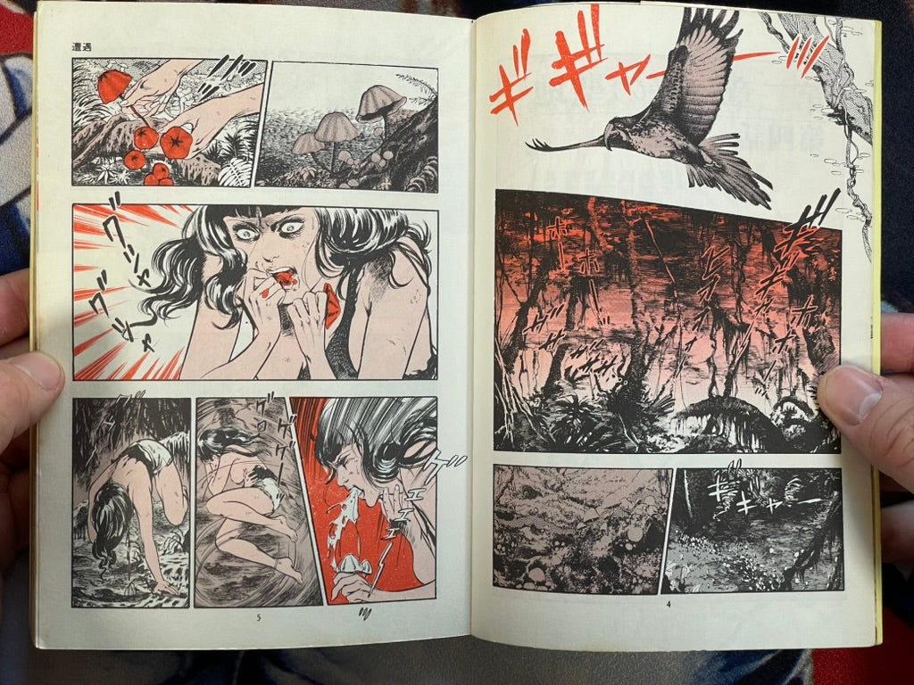 You Adoro 2 by Mieko Kawasaki (1979)