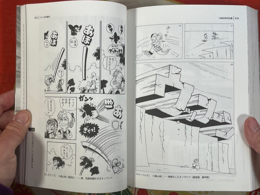 The Manga Age: Everything from Tezuka Osamu to Evangelion (1998)