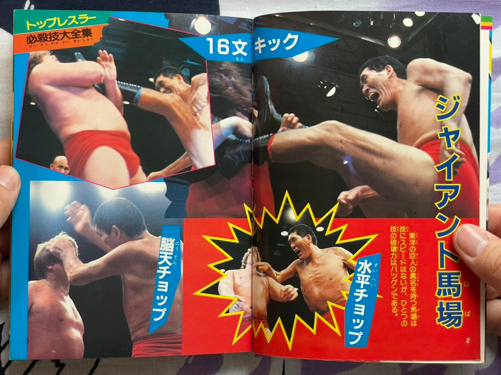Pro Wrestling Finishing Move Technique by Big Wrestler (1984)