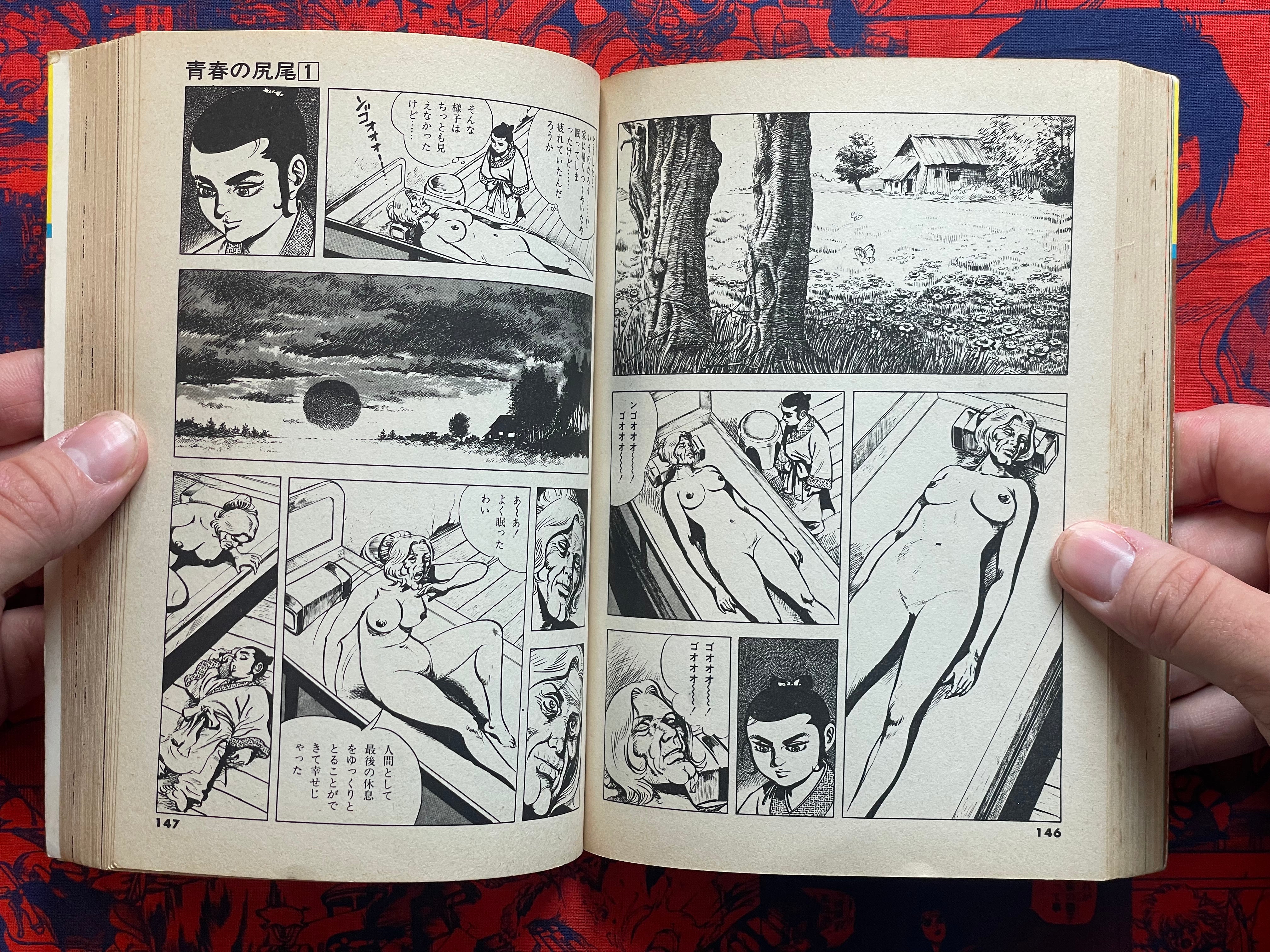 Tail of Youth 1-6 Full Set by Kazuo Koike (1978)-thumbmail-16