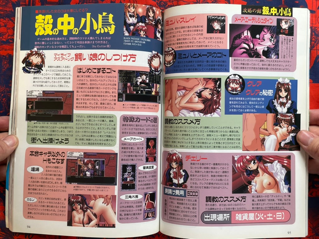 Monthly PC Angel (6/1996)