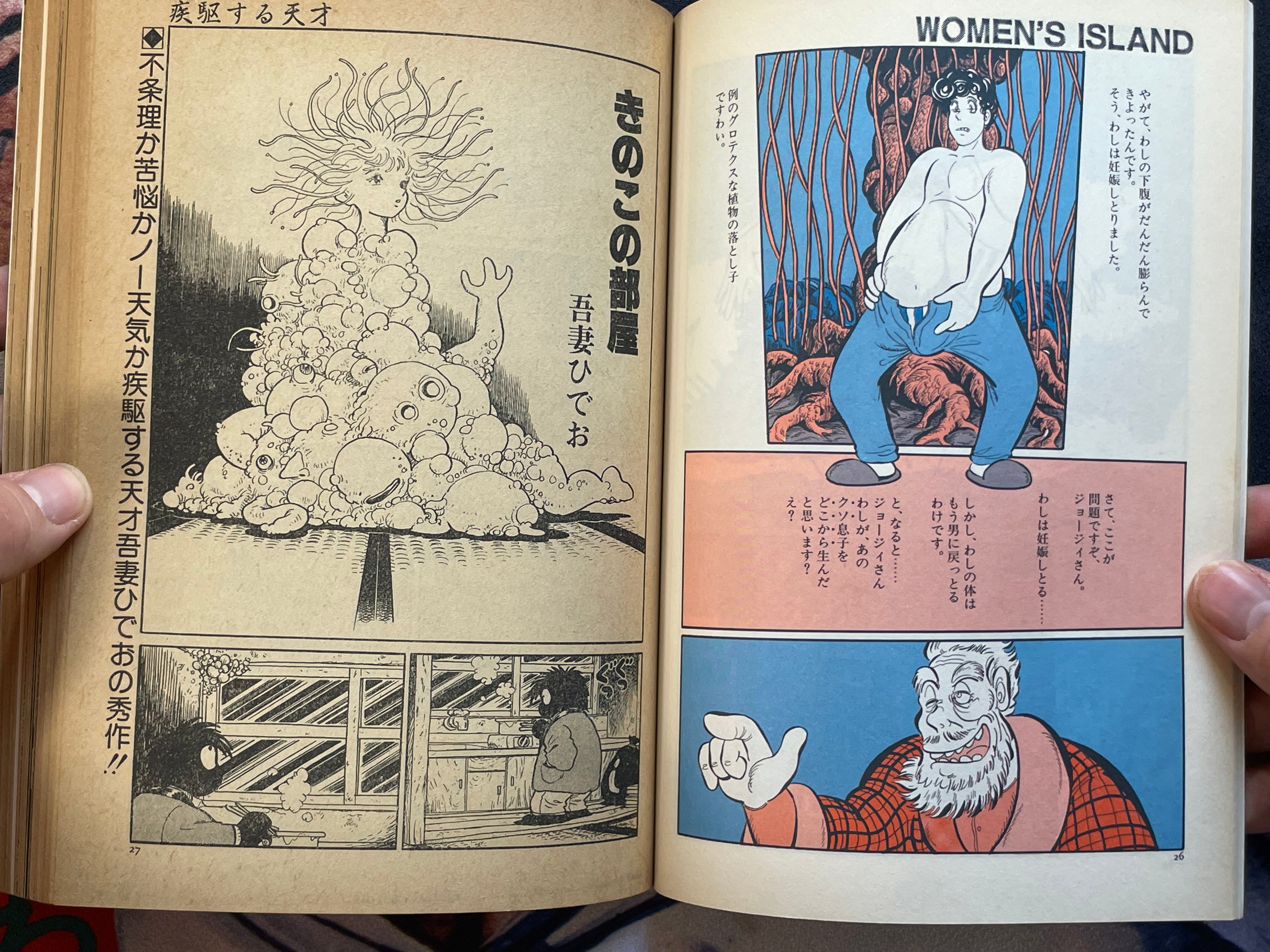 Quarterly Comic Again 3 by Michio Hisauchi and more (1985)-thumbmail-8