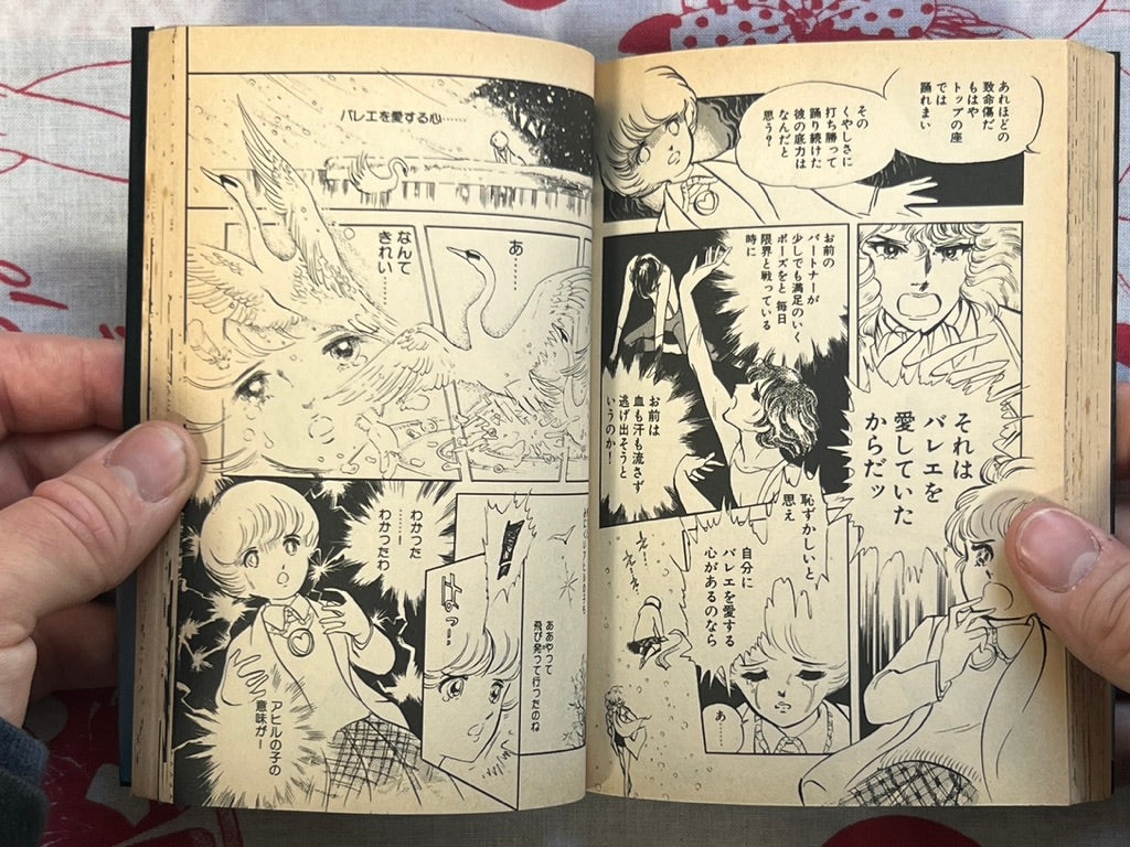 Not There Yet! - bunko size by Nakata Aki (1988)