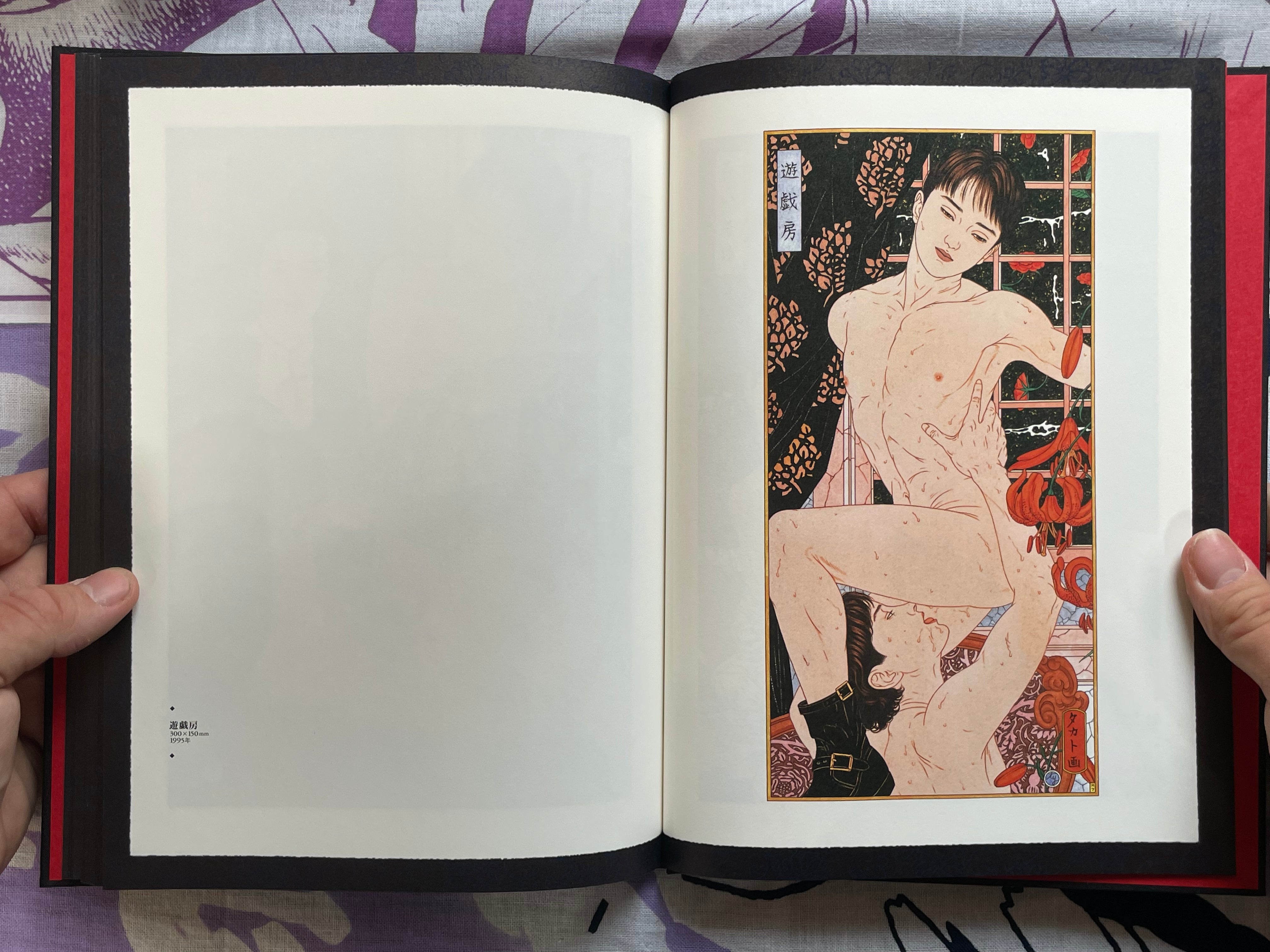 SIGNED Scarlet Maniera: Pan Exotica - Hardcover + Slipcover by Yamamoto Takato (2018)